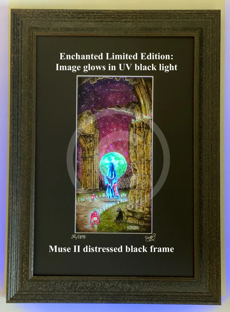 Beneath the Sheets; The Black Abbot - Enchanted Limited Edition; Celestial Lights Framed Muse II Black (F) Mounted