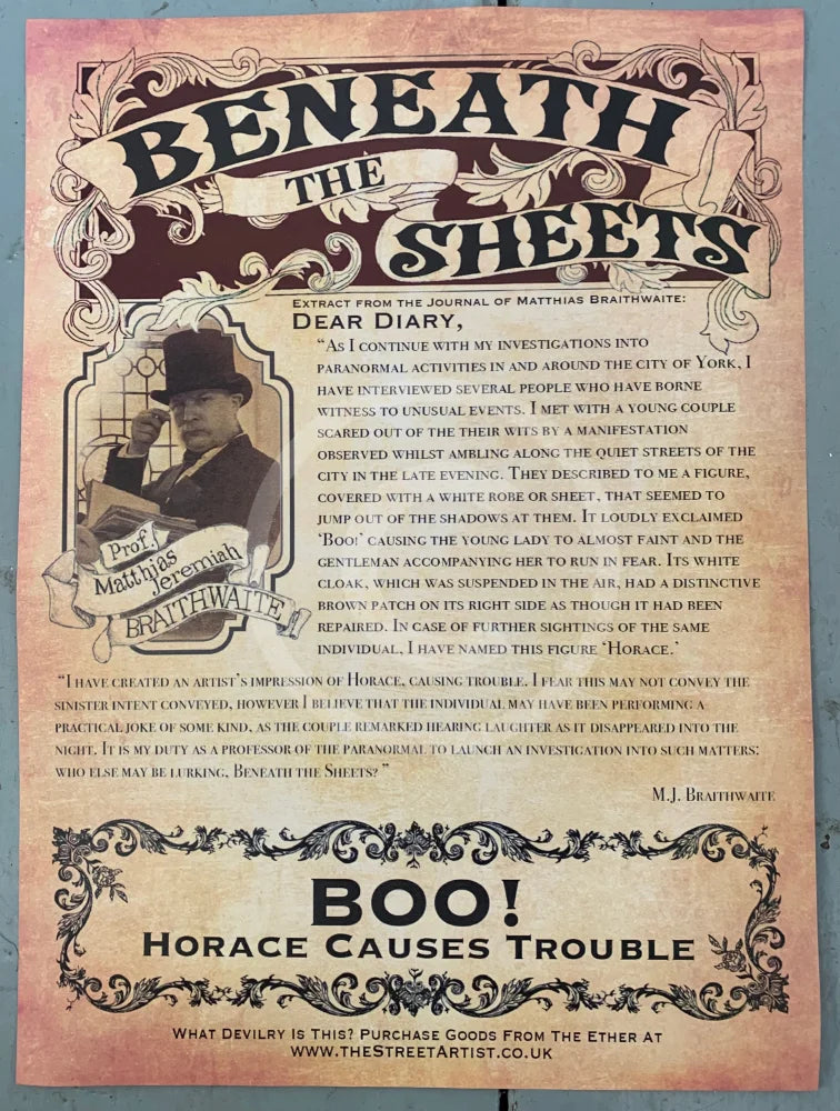 The professor's diary entry - Boo