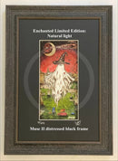 Beneath the Sheets - The Disturbing Tale of the Yorkshire Witch Celestial Lights - Enchanted Limited Edition