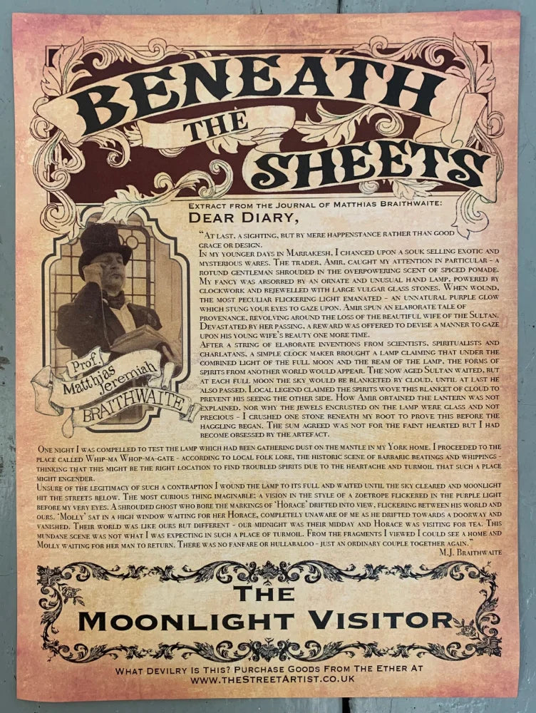 The Professor's Diary Entry - The Moonlight Visitor