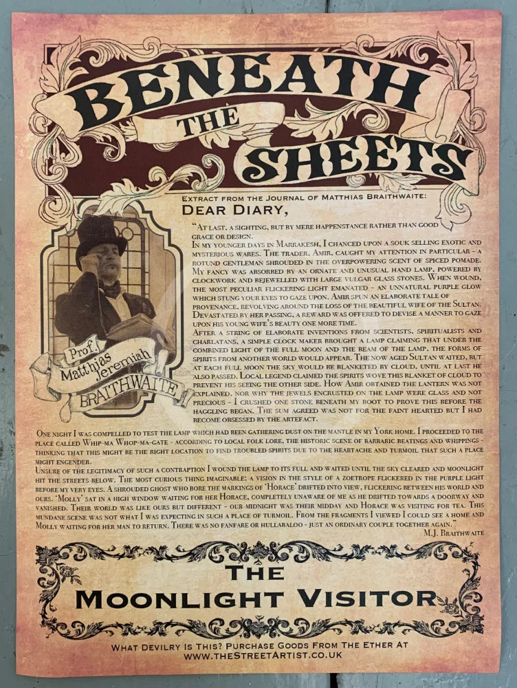 The Professor's Diary Entry - The Moonlight Visitor