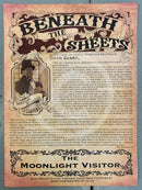 The Professor's Diary entry - Ghostly Lights