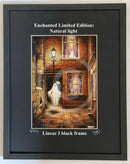 Beneath the Sheets; The Moonlight Visitor - Enchanted Limited Edition; Ghostly Lights