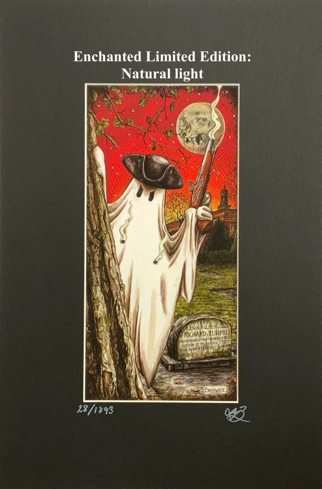 Beneath the Sheets; Stand and Deliver - Enchanted Limited Edition Celestial Lights Mounted Embellished Print