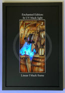 Beneath the Sheets; Treason and Plot - Enchanted Edition Framed Small Linear I Black (A) Mounted Embellished Print