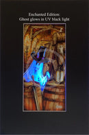 Beneath the Sheets; Treason and Plot - Enchanted Edition Mounted Mounted Embellished Print