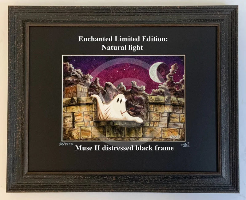 Beneath the Sheets; Vengeful Exploits - Enchanted Limited Edition; Celestial Lights