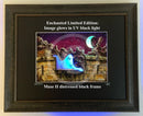 Beneath the Sheets; Vengeful Exploits - Enchanted Limited Edition; Celestial Lights Framed Muse II Black (F)