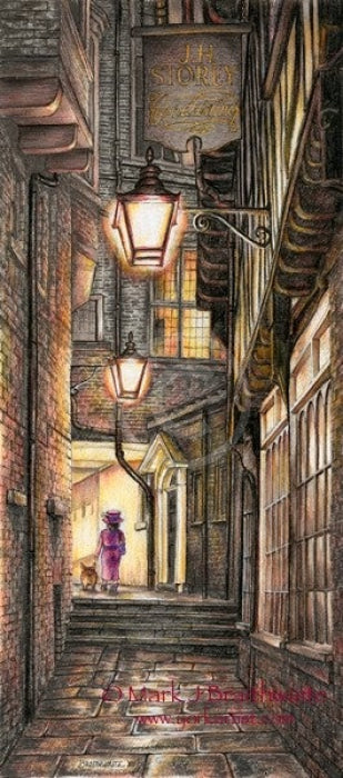 Betty's Travels 12: Avenues & Alleyways by Mark Braithwaite