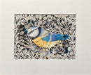 Blue Tit, Giclée Print of a Blue Tit by Anna Cook