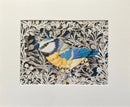 Blue Tit, Giclée Print of a Blue Tit by Anna Cook