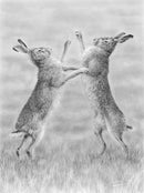 Boxing Hares By Nolon Stacey
