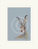 Bright Eyed by Nicky Litchfield