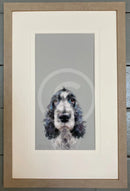 Can I Come Too? by Nicky Litchfield Framed 281 Almond