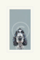 Can I Come Too? by Nicky Litchfield