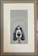 Can I Come Too? by Nicky Litchfield Framed 281 Almond