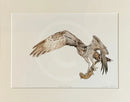 Catch of the Day, Limited Edition Print by Nicola Gillyon - 14 x 11’’ - Limited Edition Print