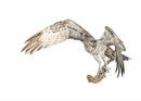 Catch of the Day by Nicola Gillyon - 14 x 11’’ - Limited Edition Print