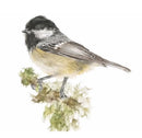 Coal Tit, Limited Edition Print by Nicola Gillyon - 14 x 11’’ - Limited Edition Print