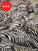 Confusion At The Edge, Limited Edition Zebra Print by Lyndsey Selley