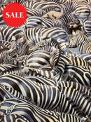 Confusion At The Edge, Limited Edition Zebra Print by Lyndsey Selley