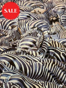 Confusion At The Edge, Limited Edition Zebra Print by Lyndsey Selley