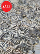 Confusion At The Edge, Limited Edition Zebra Print by Lyndsey Selley