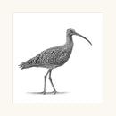 Curlew II by Nolon Stacey mounted