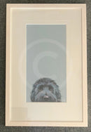 Cute Alert!, Limited Edition Print by Nicky Litchfield - Framed in Ivory Driftwood - Limited Edition Print