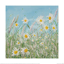 Daisy Meadow, Print by Siobhan McEvoy