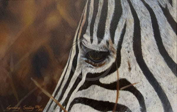 Dramatic, Zebra print by Lyndsey Selley Limited Edition Print