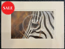 Dramatic Zebra Print By Lyndsey Selley Limited Edition Print
