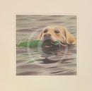 Dummy Run Limited Edition Print by John Silver