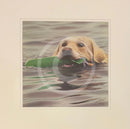 Dummy Run Limited Edition Print by John Silver