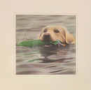 Dummy Run Limited Edition Print by John Silver