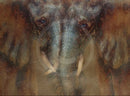 E-Love elephant print by Amanda Stratford