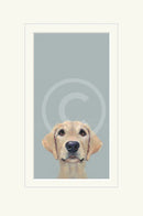 Framed artwork of a dog's face on a light blue background