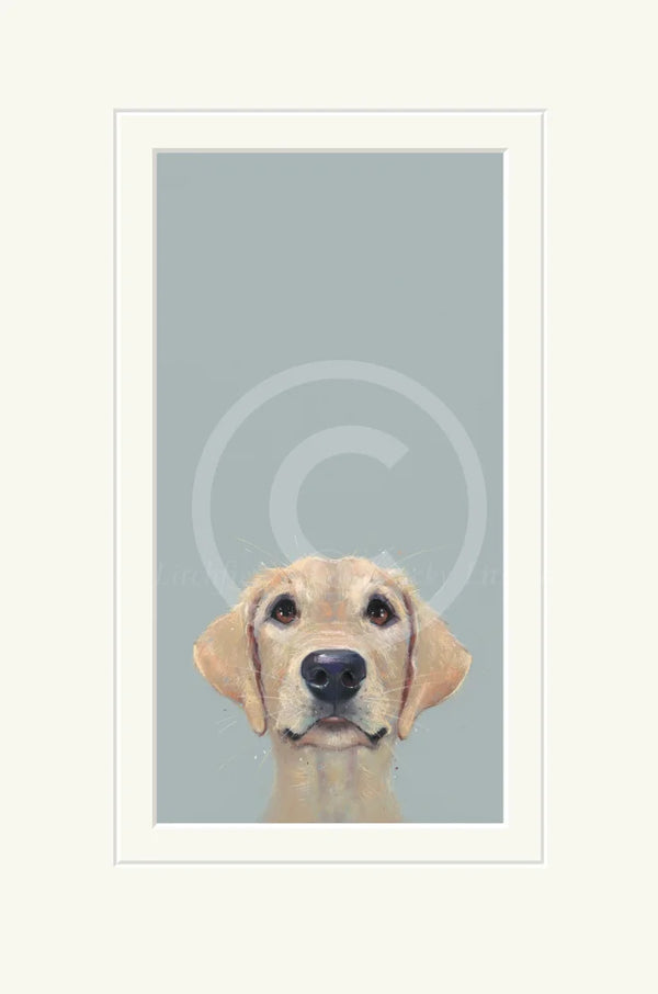 Framed artwork of a dog's face on a light blue background