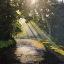 Early Morning on the Canal GICLEE PRINT by Paul Freeman
