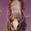 Equine Eye by Amanda Stratford