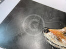 Fantastic Fox ORIGINAL PAINTING by Sarah Spofforth
