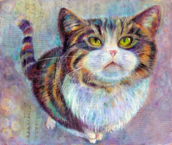 Fattypuss By Julie Springall