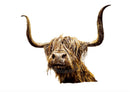 Fearghas (Highland Cow) By Nicola Gillyon