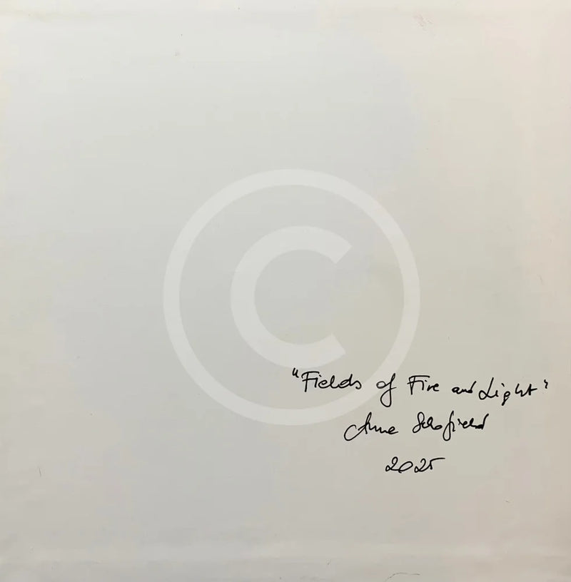 Text 'Fields of Fire and Light' by Anna Schofield 2023 titled on reverse