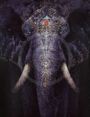 Filigree Tattoo, Elephant Print by Amanda Stratford 