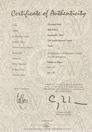 Floating High, Signed Limited Edition by Bill Tolley Certificate