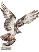 Fly Fishing, Bird Of Prey by Nicola Gillyon