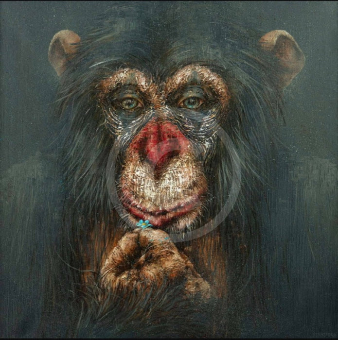 Forget-me-not, chimp / monkey print by Amanda Stratford  