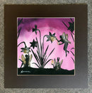 From the Shadows, Flower Fairies - Down with the Trumpets by Mark Braithwaite