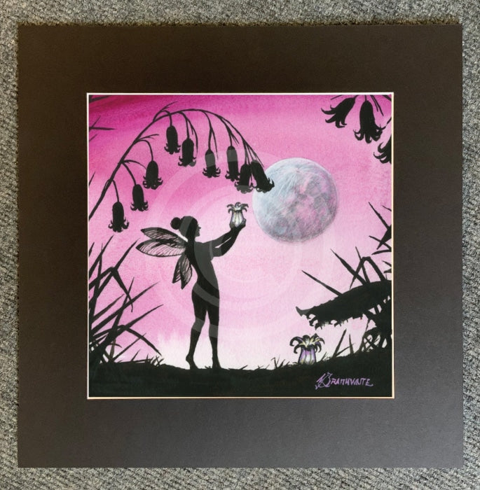 From the Shadows; Pink Moon, The Moonlight Collector by Mark Braithwaite